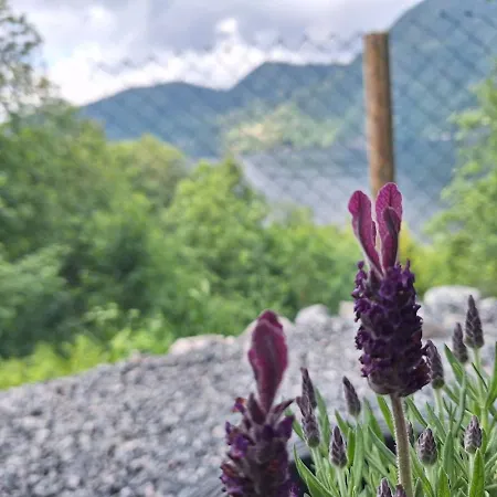 Fjord Nest Apartment Bergen