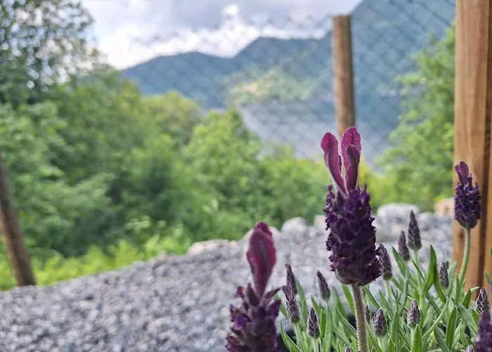 Fjord Nest Apartment Bergen
